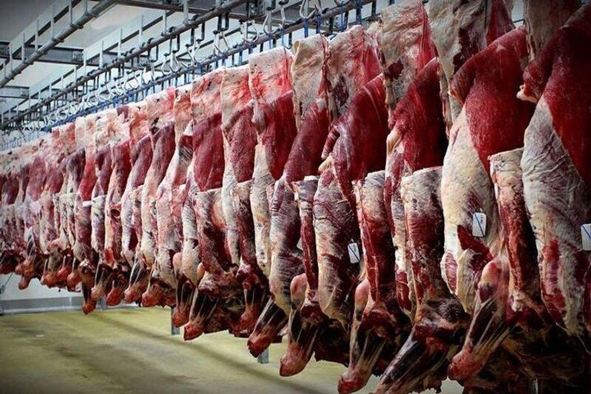 جهش شگفت انگیز قیمت گوشت در کمتر از یک ماه| قیمت واقعی یک کیلو گوشت چقدر است؟
