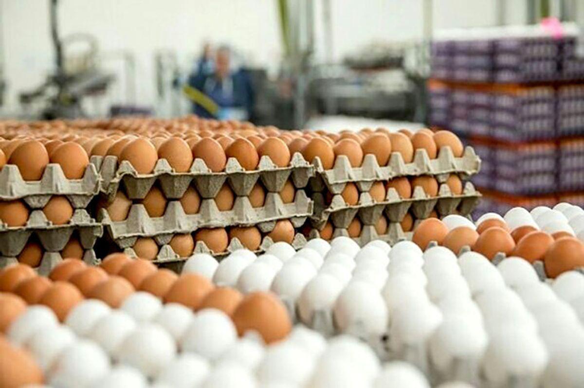 جدیدترین قیمت تخم مرغ در بازار روز+ جدول قیمت