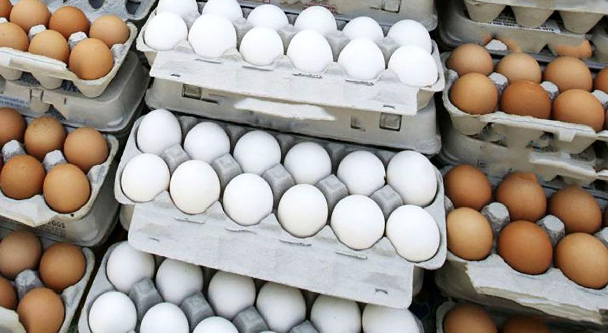 اگر از طرفداران تخم مرغ هستید؛ این خبر را بخوانید| مصرف بیش از حد تخم مرغ با بدن ما چه می‌کند؟