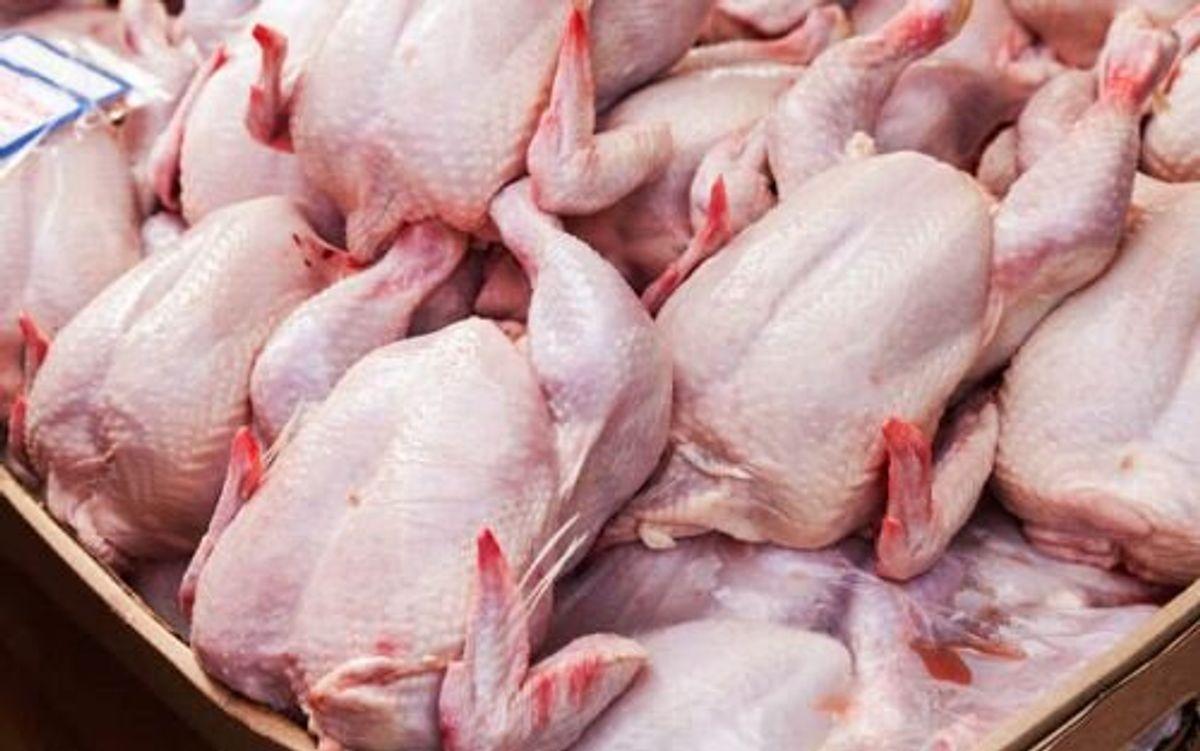 جدیدترین قیمت مرغ اعلام شد| اخبار جدید درباره قیمت گوشت را اینجا بخوانید